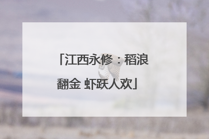 江西永修：稻浪翻金 虾跃人欢