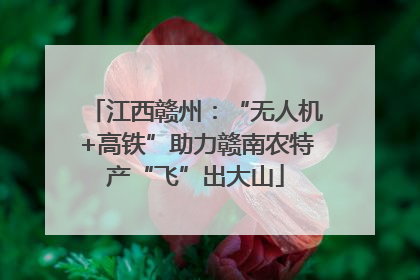 江西赣州：“无人机+高铁”助力赣南农特产“飞”出大山