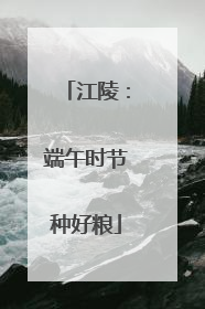 江陵：端午时节种好粮