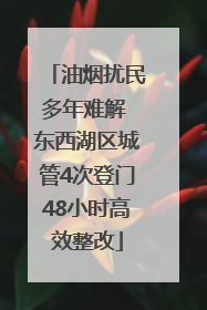 油烟扰民多年难解 东西湖区城管4次登门48小时高效整改