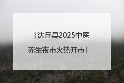 沈丘县2025中医养生夜市火热开市