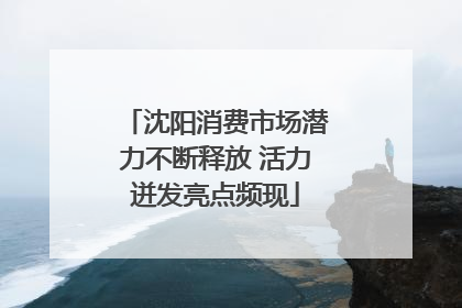 沈阳消费市场潜力不断释放 活力迸发亮点频现