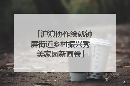 沪滇协作绘就钟屏街道乡村振兴秀美家园新画卷