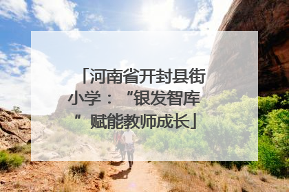 河南省开封县街小学：“银发智库”赋能教师成长