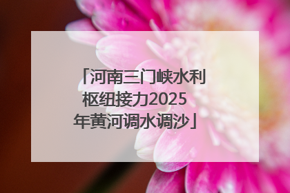 河南三门峡水利枢纽接力2025年黄河调水调沙