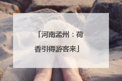 河南孟州：荷香引得游客来