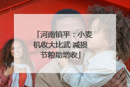 河南镇平：小麦机收大比武 减损节粮助增收