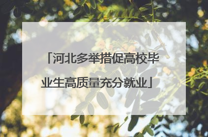 河北多举措促高校毕业生高质量充分就业