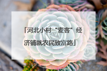 河北小村“麦客”经济铺就农民致富路
