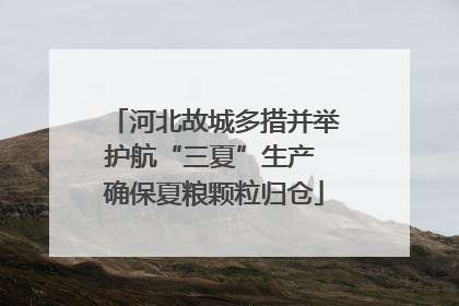 河北故城多措并举护航“三夏”生产 确保夏粮颗粒归仓