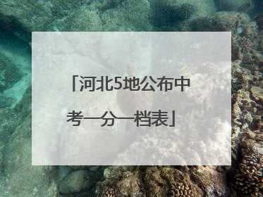 河北5地公布中考一分一档表