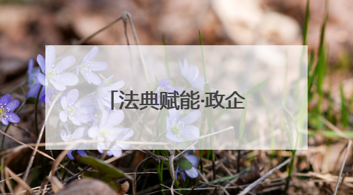 法典赋能·政企同行——锦江区2025年“民法典宣传月”汇聚力量 助推企业发展