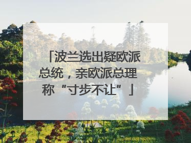波兰选出疑欧派总统，亲欧派总理称“寸步不让”