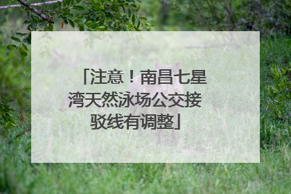 注意！南昌七星湾天然泳场公交接驳线有调整