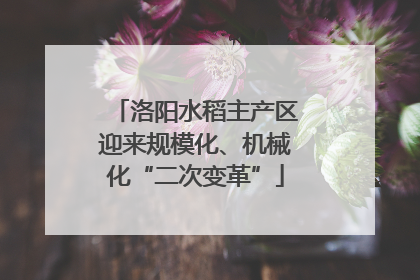 洛阳水稻主产区迎来规模化、机械化“二次变革”