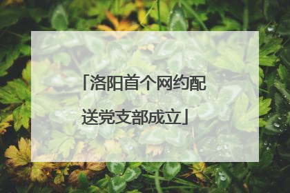 洛阳首个网约配送党支部成立