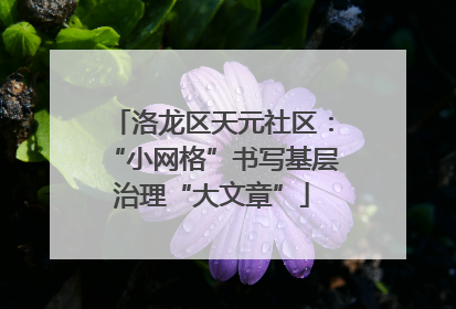 洛龙区天元社区：“小网格”书写基层治理“大文章”