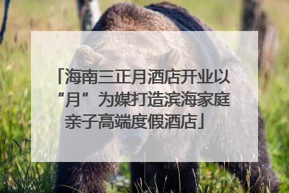 海南三正月酒店开业以“月”为媒打造滨海家庭亲子高端度假酒店