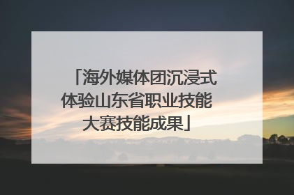 海外媒体团沉浸式体验山东省职业技能大赛技能成果