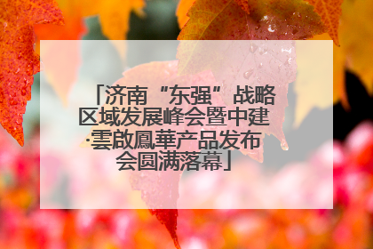 济南“东强”战略区域发展峰会暨中建·雲啟鳳華产品发布会圆满落幕