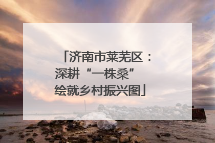 济南市莱芜区：深耕“一株桑” 绘就乡村振兴图