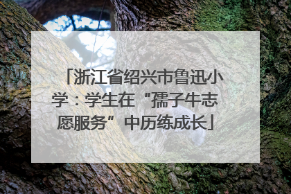 浙江省绍兴市鲁迅小学：学生在“孺子牛志愿服务”中历练成长