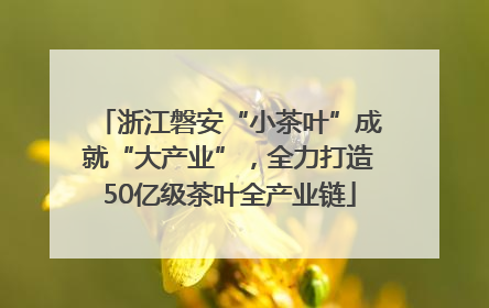 浙江磐安“小茶叶”成就“大产业”，全力打造50亿级茶叶全产业链