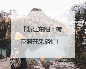 浙江东阳：荷花盛开采摘忙
