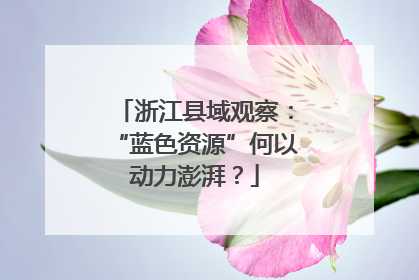浙江县域观察：“蓝色资源”何以动力澎湃？