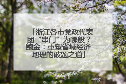 浙江各市党政代表团“串门”为哪般？鲍金：重塑省域经济地理的破题之道