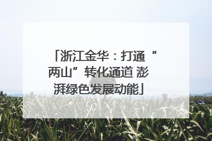 浙江金华：打通“两山”转化通道 澎湃绿色发展动能