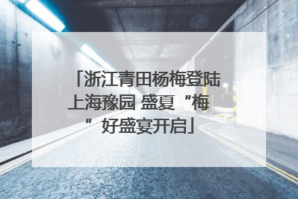 浙江青田杨梅登陆上海豫园 盛夏“梅”好盛宴开启