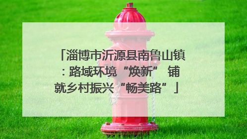 淄博市沂源县南鲁山镇：路域环境“焕新” 铺就乡村振兴“畅美路”