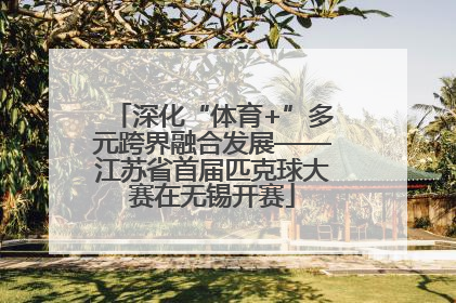 深化“体育+”多元跨界融合发展——江苏省首届匹克球大赛在无锡开赛