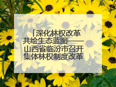 深化林权改革 共绘生态蓝图——山西省临汾市召开集体林权制度改革专题研讨会