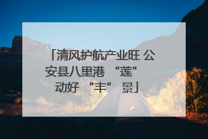 清风护航产业旺 公安县八里港 “莲” 动好 “丰” 景
