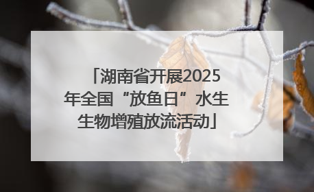 湖南省开展2025年全国“放鱼日”水生生物增殖放流活动