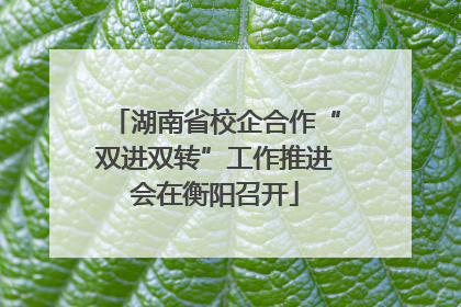 湖南省校企合作“双进双转”工作推进会在衡阳召开