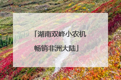 湖南双峰小农机畅销非洲大陆