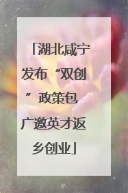 湖北咸宁发布“双创”政策包 广邀英才返乡创业
