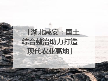 湖北咸安：国土综合整治助力打造现代农业高地