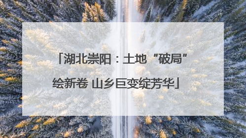 湖北崇阳：土地“破局”绘新卷 山乡巨变绽芳华