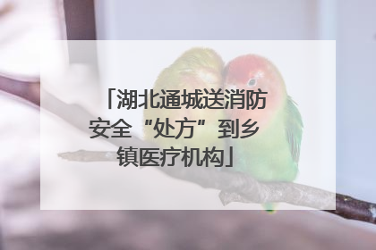 湖北通城送消防安全“处方”到乡镇医疗机构