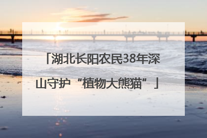 湖北长阳农民38年深山守护“植物大熊猫”