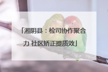 湘阴县：检司协作聚合力 社区矫正提质效