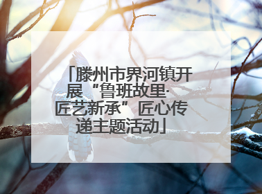 滕州市界河镇开展“鲁班故里· 匠艺新承”匠心传递主题活动