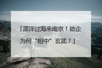 漂洋过海来南京！德企为何“相中”玄武？