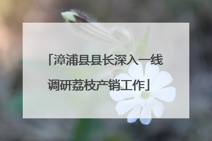 漳浦县县长深入一线调研荔枝产销工作