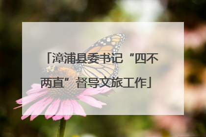漳浦县委书记“四不两直”督导文旅工作