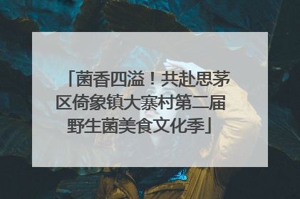 菌香四溢！共赴思茅区倚象镇大寨村第二届野生菌美食文化季